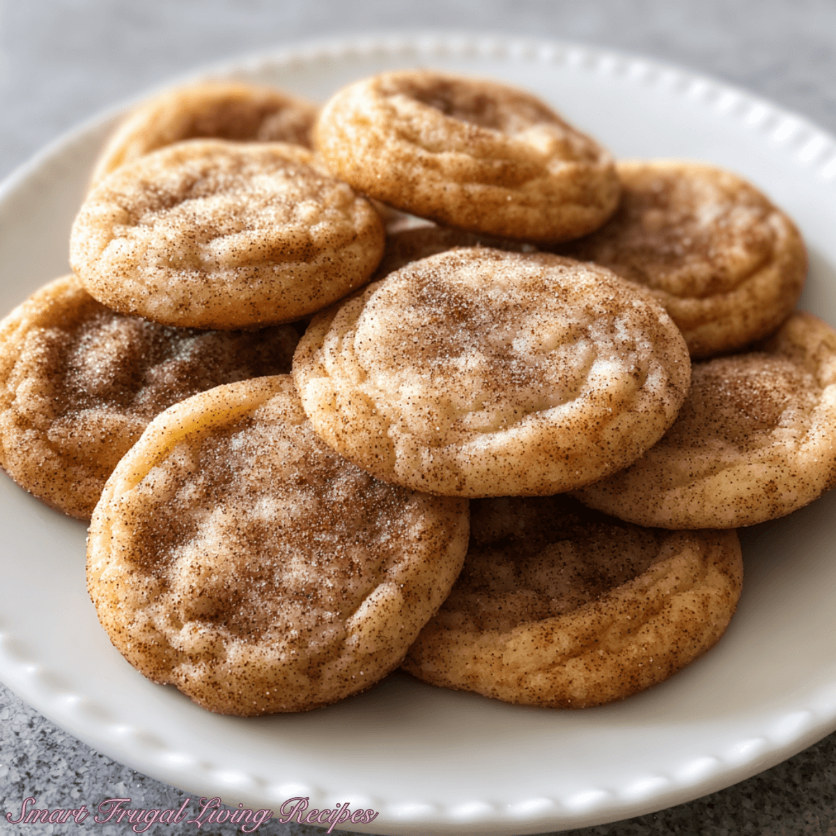 Snickerdoodle Cookie