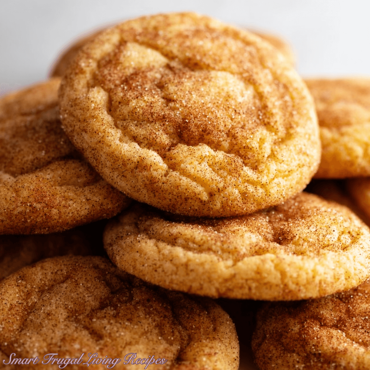 Cookie Butter Snickerdoodles